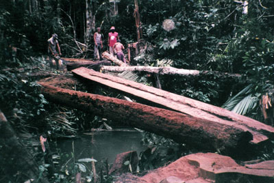 Durante a contrução da estrada pequenas pontes foram sendo feitas para superar os obstáculos naturais