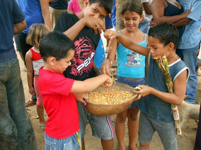 Crianças comemoram produção nas áreas