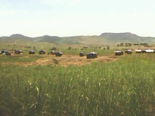 barracos na Fazenda Pitombera retomada pelos camponeses