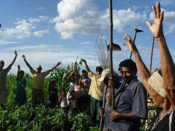Camponeses comemoram as colheitas no Acampamento Santa Cruz do Sol Nascente. Abril 2011