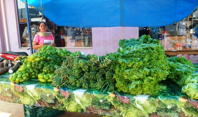 Verduras produzidas pelos camponeses na área Paulo Freire 3 são vendidas na feira de Seringueiras