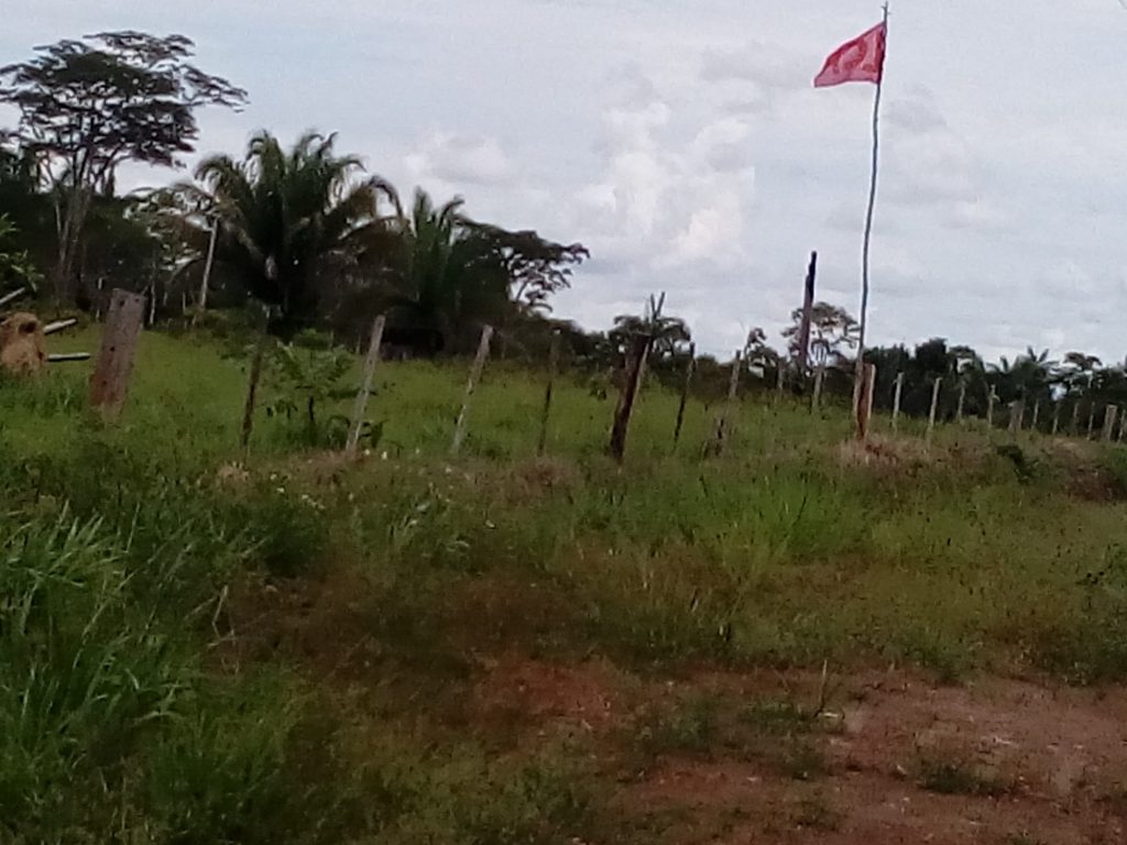 Bandeiras da LCP foram colocadas ao longo da estrada de acesso a área