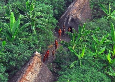 Aldeia Kawahiva em Rio Pardo